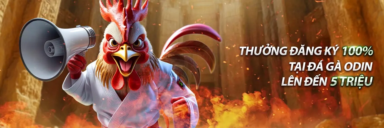 Khuyến mãi hấp dẫn tại Cầu Kubet