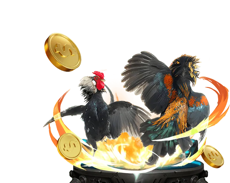 So sánh tỷ lệ kèo