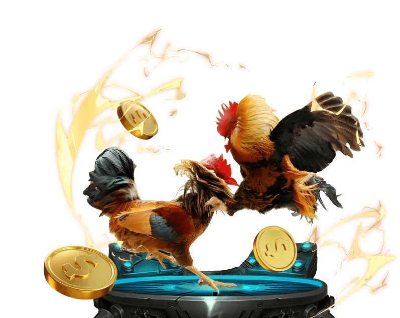 Cá cược bóng rổ tại Kubet